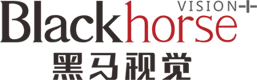 外貿網站建設_營銷推廣_設計制作_谷歌優化_深圳獨立站建站公司